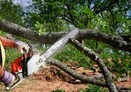 Best Lawn Grading and Leveling  in Denton, TX